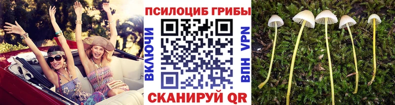 Галлюциногенные грибы мицелий  сколько стоит  Миасс 